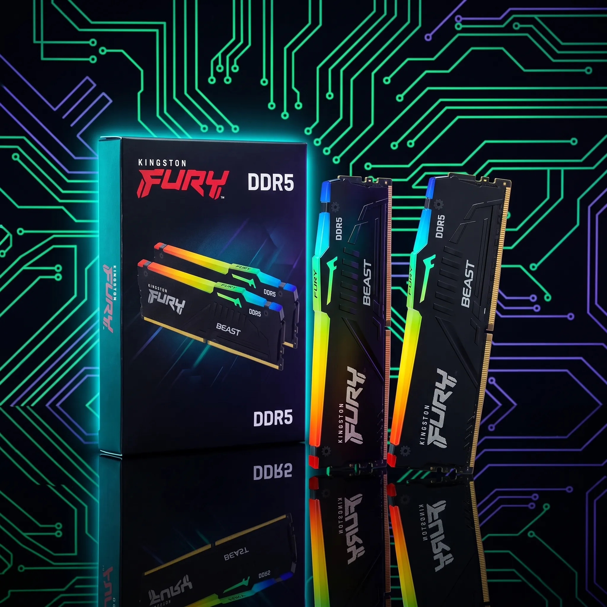 Kingston Fury Beast Negro RGB 32 GB DDR5-5600 CL36
